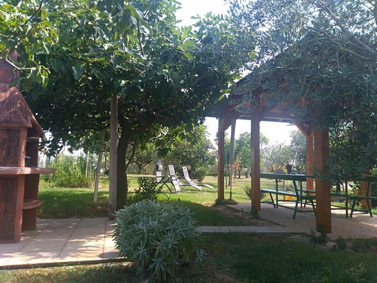 Apartment Ivana Novigrad Istria Εξωτερικό φωτογραφία