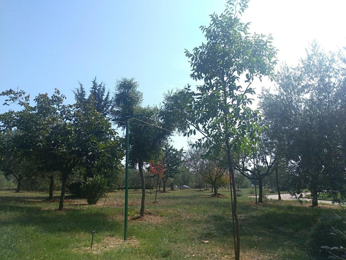 Apartment Ivana Novigrad Istria Εξωτερικό φωτογραφία